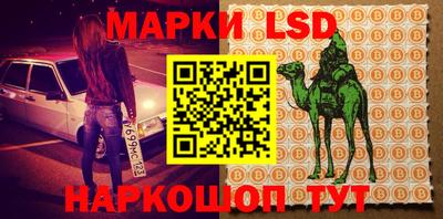 дмт Нальчик