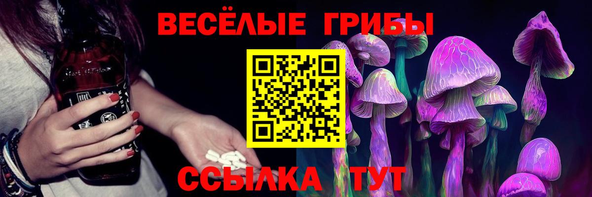 Галлюциногенные грибы Psilocybine cubensis  Вход с VPN  Чайковский  Псилоцибиновые грибы GOLDEN TEACHER 